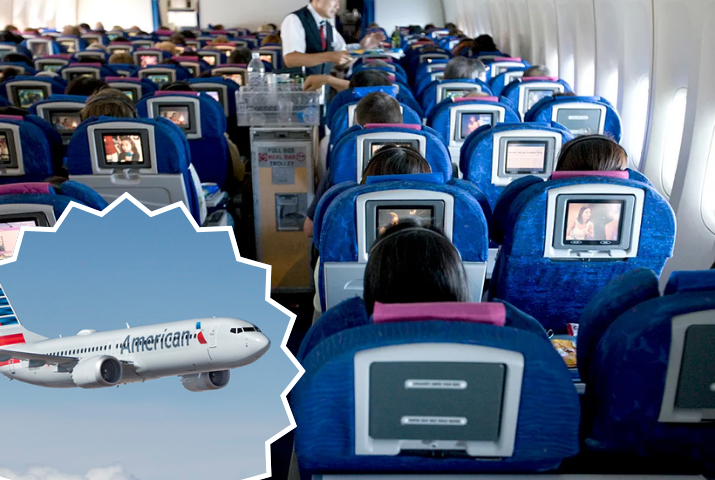 What Inflight Entertainment Options Are Available on American Airlines Flights?